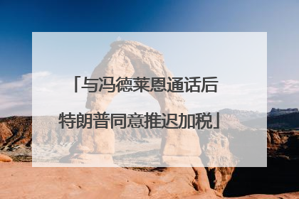 与冯德莱恩通话后 特朗普同意推迟加税