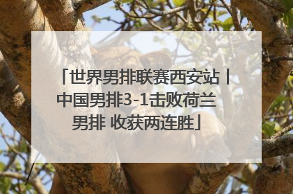 世界男排联赛西安站丨中国男排3-1击败荷兰男排 收获两连胜