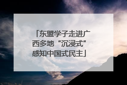 东盟学子走进广西多地“沉浸式”感知中国式民主