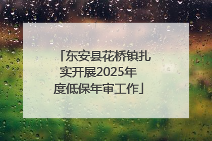 东安县花桥镇扎实开展2025年度低保年审工作