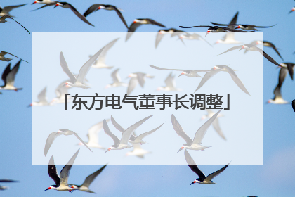 东方电气董事长调整