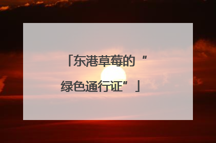 东港草莓的“绿色通行证”