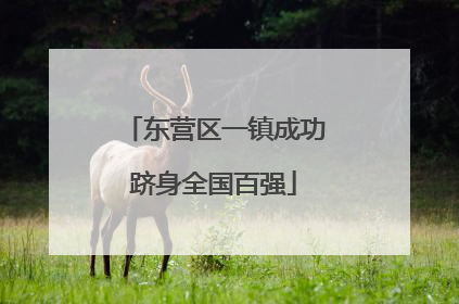 东营区一镇成功跻身全国百强
