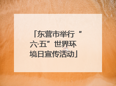 东营市举行“六·五”世界环境日宣传活动