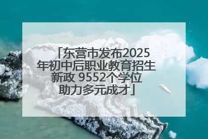 东营市发布2025年初中后职业教育招生新政 9552个学位助力多元成才
