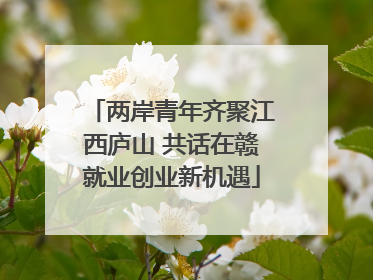 两岸青年齐聚江西庐山 共话在赣就业创业新机遇