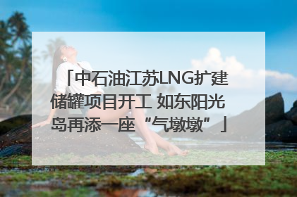 中石油江苏LNG扩建储罐项目开工 如东阳光岛再添一座“气墩墩”