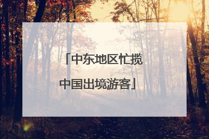 中东地区忙揽中国出境游客