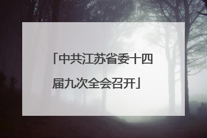 中共江苏省委十四届九次全会召开