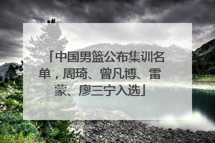 中国男篮公布集训名单，周琦、曾凡博、雷蒙、廖三宁入选