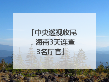中央巡视收尾，海南3天连查3名厅官