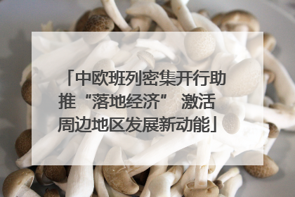 中欧班列密集开行助推“落地经济” 激活周边地区发展新动能