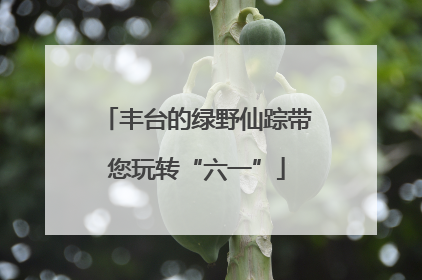 丰台的绿野仙踪带您玩转“六一”