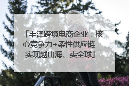 丰泽跨境电商企业：核心竞争力+柔性供应链 实现越山海、卖全球