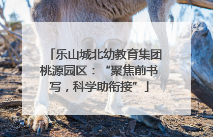 乐山城北幼教育集团桃源园区:“聚焦前书写,科学助衔接”