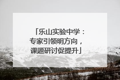 乐山实验中学：专家引领明方向，课题研讨促提升