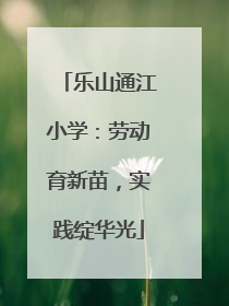 乐山通江小学：劳动育新苗，实践绽华光