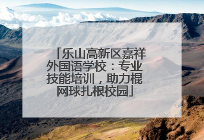 乐山高新区嘉祥外国语学校：专业技能培训，助力棍网球扎根校园