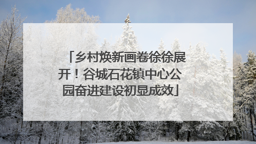 乡村焕新画卷徐徐展开！谷城石花镇中心公园奋进建设初显成效