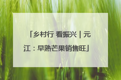 乡村行 看振兴｜元江：早熟芒果销售旺