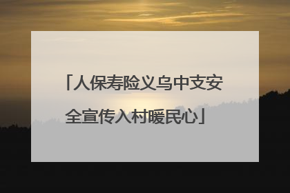 人保寿险义乌中支安全宣传入村暖民心