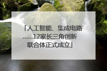 人工智能、集成电路……12家长三角创新联合体正式成立