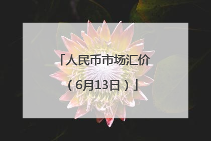 人民币市场汇价（6月13日）