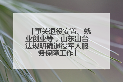 事关退役安置、就业创业等，山东出台法规明确退役军人服务保障工作