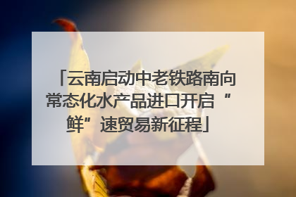 云南启动中老铁路南向常态化水产品进口开启“鲜”速贸易新征程