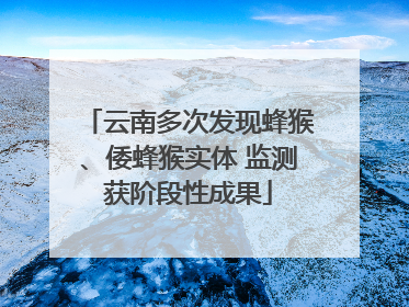 云南多次发现蜂猴、倭蜂猴实体 监测获阶段性成果