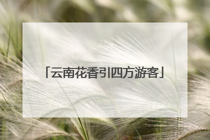 云南花香引四方游客