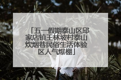 五一假期泰山区邱家店镇王林坡村泰山炊烟巷民俗生活体验区人气爆棚