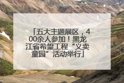 五大主题展区，400余人参加！黑龙江省希望工程“义卖童园”活动举行