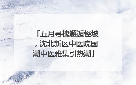 五月寻槐邂逅怪坡，沈北新区中医院国潮中医雅集引热潮
