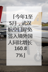 今年1至5月，武汉航空口岸免签入境外国人同比增长160.87%