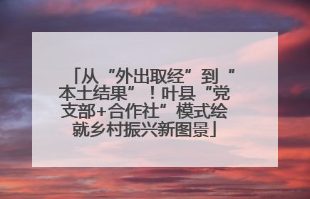 从“外出取经”到“本土结果”！叶县“党支部+合作社”模式绘就乡村振兴新图景