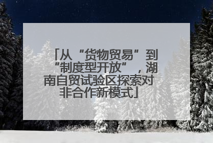 从“货物贸易”到“制度型开放”，湖南自贸试验区探索对非合作新模式