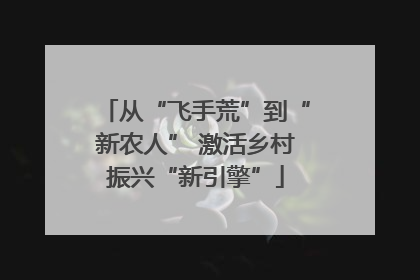 从“飞手荒”到“新农人” 激活乡村振兴“新引擎”
