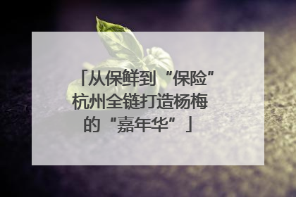 从保鲜到“保险” 杭州全链打造杨梅的“嘉年华”