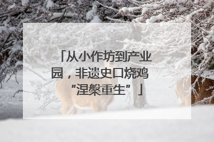 从小作坊到产业园，非遗史口烧鸡“涅槃重生”