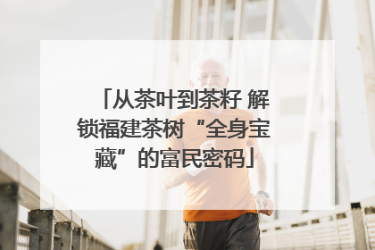 从茶叶到茶籽 解锁福建茶树“全身宝藏”的富民密码