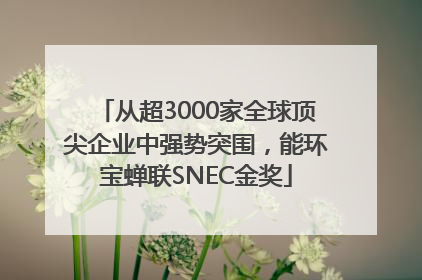 从超3000家全球顶尖企业中强势突围，能环宝蝉联SNEC金奖