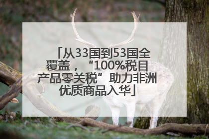 从33国到53国全覆盖，“100%税目产品零关税”助力非洲优质商品入华