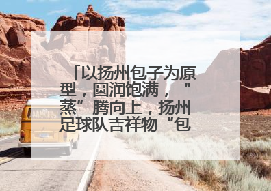 以扬州包子为原型，圆润饱满，“蒸”腾向上，扬州足球队吉祥物“包赢”亮相即售罄