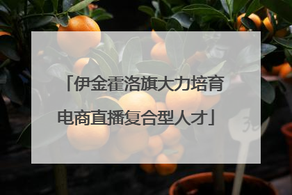 伊金霍洛旗大力培育电商直播复合型人才