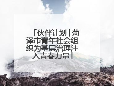 伙伴计划│菏泽市青年社会组织为基层治理注入青春力量