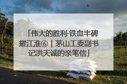 伟大的胜利·铁血丰碑耀江淮⑥｜茅山工委副书记洪天诚的亲笔信
