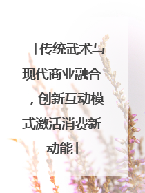 传统武术与现代商业融合，创新互动模式激活消费新动能