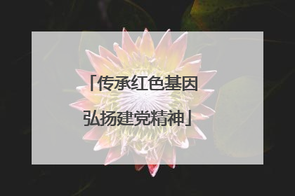 传承红色基因 弘扬建党精神