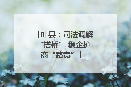 叶县：司法调解“搭桥” 稳企护商“路宽”